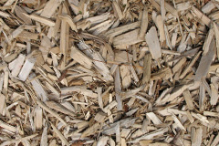 biomass boilers Flecknoe